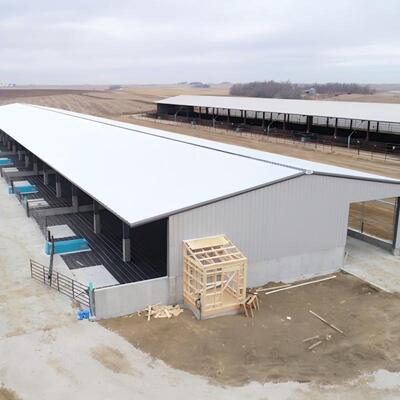 Open huis ontwerp Aangepaste staalstructuur Prefab veehouderij schuur met ventilatie op het dak