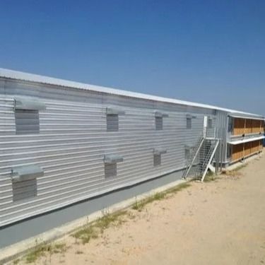 Prefab Stalen Pluimveestal Licht Constructie Q235B Q355B