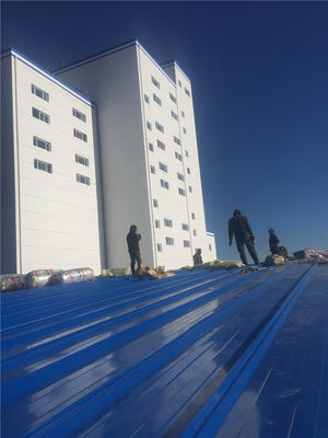 Werkplaats voor prefab staalconstructies voor melkpoederverwerkingsinstallatie