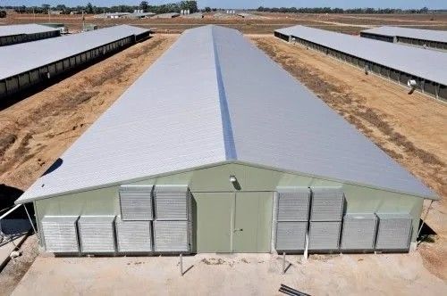 Prefab eenverdiepingsstaalconstructies Fabricatie voor magazijnbouw