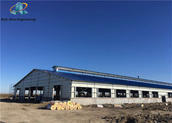 30000m2 Prefab Steel Structure Warehouse Fabriek Fabrikant Werkplaats Prefabricated Industry Buildings