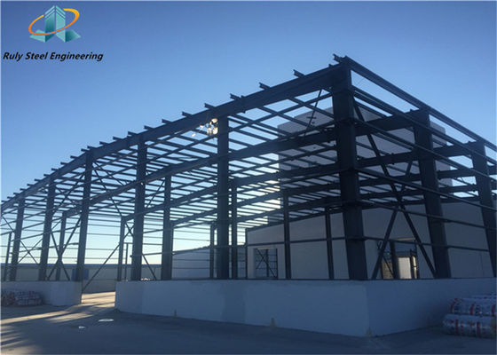 30000m2 Prefab Steel Structure Warehouse Fabriek Fabrikant Werkplaats Prefabricated Industry Buildings