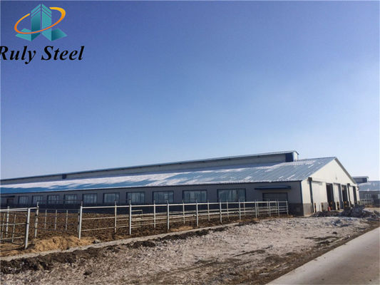 Grote steel pluimveehuis Prefab huis Gebouwen
