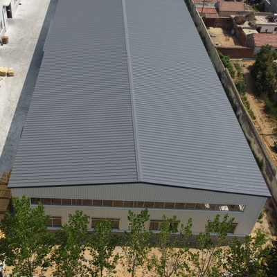 Prefab stalen constructiegebouw voor magazijnwerkplaats, aanpasbaar