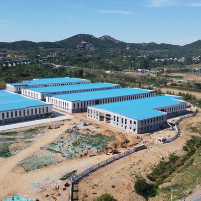 200m x 150m Prefab Stalen Magazijn voor Logistieke Fabriek