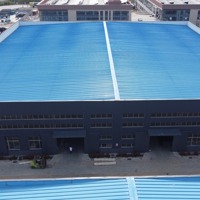 Prefab Steel Structure Warehouse Building met kraanondersteuning