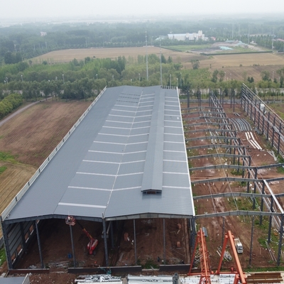 Werkplaats voor geprefabriceerde staalconstructies met kraan voor zware industrie