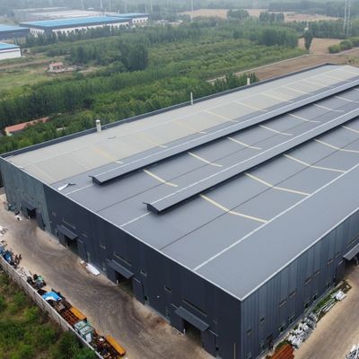 Prefab Steel Structure Building Q235 Q355 Grote Span Warehouse Workshop