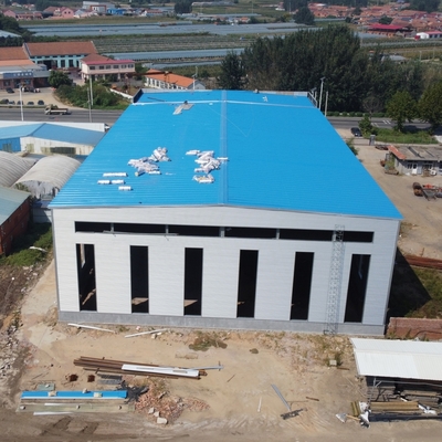 Grote Stalen Magazijnstructuur voor Logistieke Gebouwen
