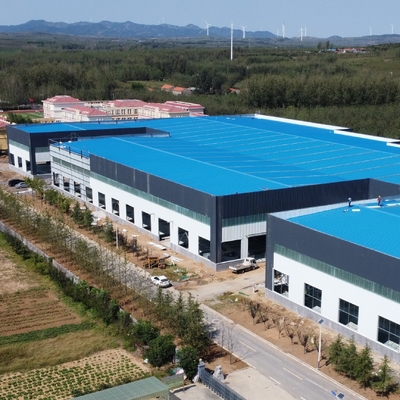 Prefab Q235B Q355B Stalen Constructie Werkplaats met Kraanbalk