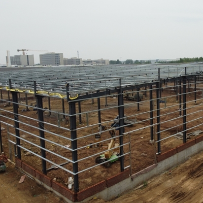 Prefab Steel Structure Warehouse voor Pet Food Processing Factory