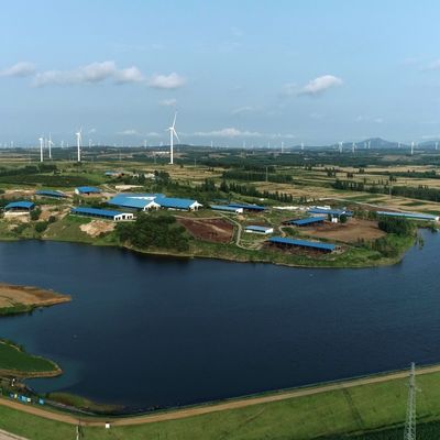 Prefab stalen constructie modulaire koeienboerderij schuur stalen gebouw met duurzame oppervlaktebehandeling en lange levensduur