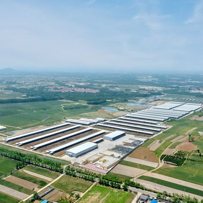 Ontwerpvoorziening Moderne staalconstructie Melkveehouderij Schuur Metalen vee schuur Met ventilatiesysteem