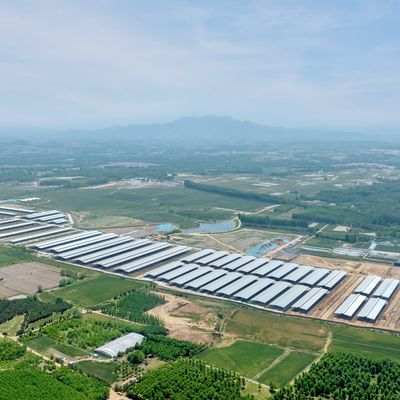 Ontwerpvoorziening Moderne staalconstructie Melkveehouderij Schuur Metalen vee schuur Met ventilatiesysteem