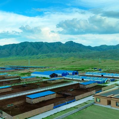 Gegalvaniseerde stalen koeienstal voor melkvee en vleesvee, levensduur 20+ jaar