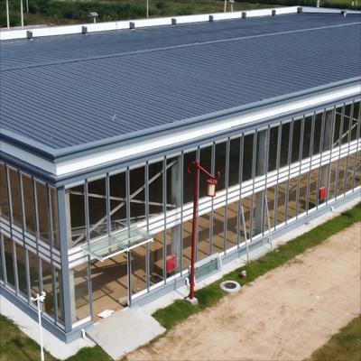 Voorgelaste Stalen Constructie Hangar met Sandwichpaneel Isolatie voor Koelopslag