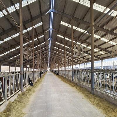 Hightech geïntegreerde veestal met stalen constructie