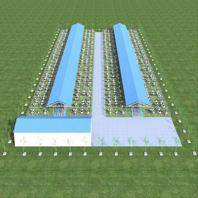 Ontwerpvoorziening Moderne staalconstructie Melkveehouderij Schuur Metalen vee schuur Met ventilatiesysteem