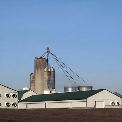 Grootte 120m bij 20m Geïsoleerd ontwerp Prefabriceerde staalstructuur Kippenhuis