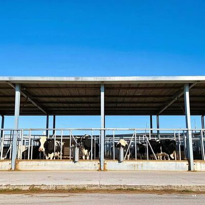 Gegalvaniseerde geprefabriceerde staalstructuur