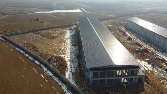 Prefabricated Modern Steel Structure Poultry House For Egg-Laying Hens
