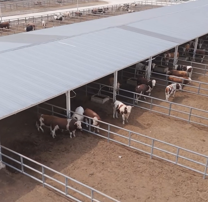 Professionele paardenstalletjes Corrosiebestendige binnen- en buitengebruik