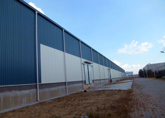 De Bouw van het de Structuurpakhuis van het logistiekstaal/de Industriële Gebouwen van het Staalkader